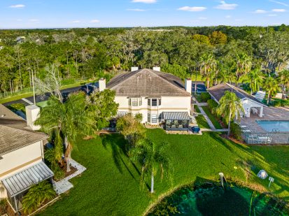 Spacious suburban home with a lush backyard, swimming pool, and palm trees in Tampa, Florida.