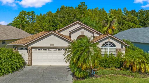 8209 Sanguinelli RD Land O Lakes FL 34637