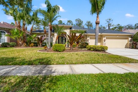 Lush front yard with tropical landscaping in a modern family home in Tampa, Florida.