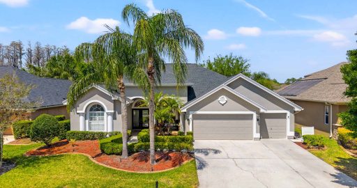 23327 Gracewood CIR Land O Lakes FL 34639
