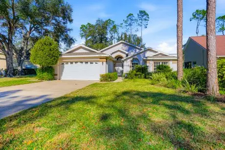 5172 Whitebark DR Wesley Chapel FL 33543